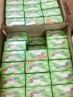DIỆP LỤC COLLAGEN