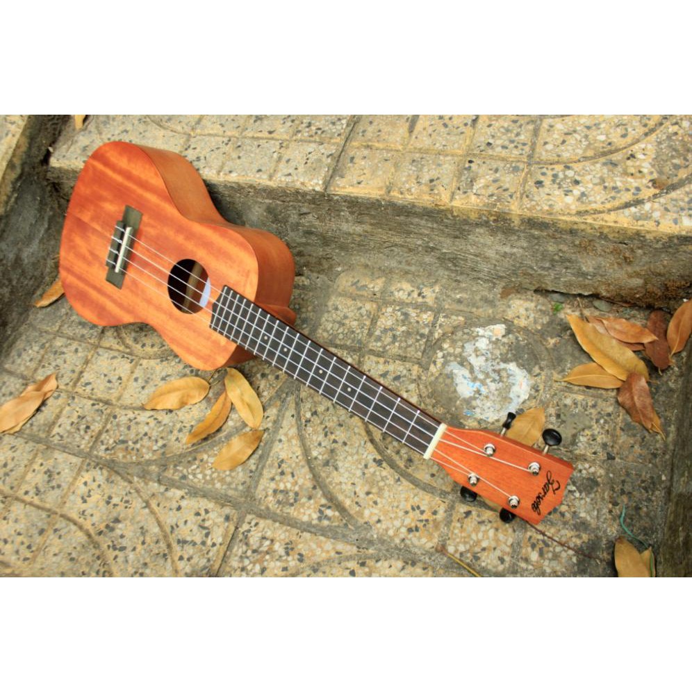 Đàn ukulele gỗ mahogani size concet giá rẻ