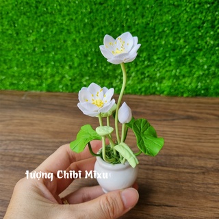 Chậu hoa sen trắng bằng đất sét Nhật