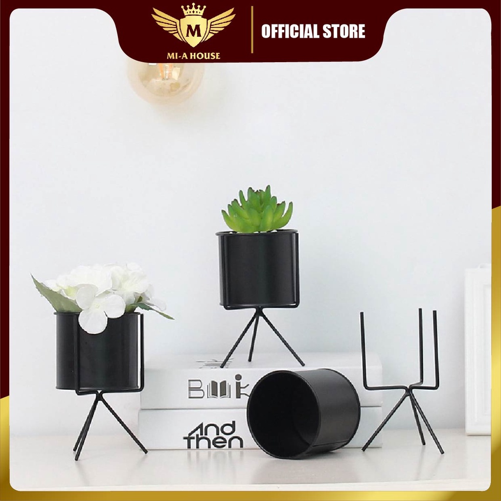 Chậu trồng cây sen đá, xương rồng, cẩm nhung – Hộp trồng cây mini để bàn