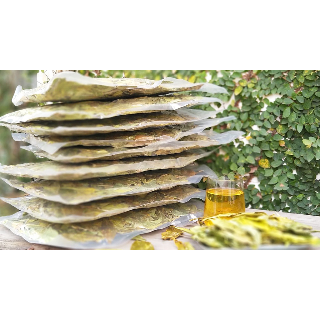 Chè Dung Gói 250G ép chân không - Trà Lá Dung - Tốt Cho Người Đau Dạ Dày