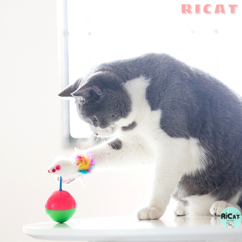 Đồ chơi cho Mèo - Bóng Lật Đật Chuột