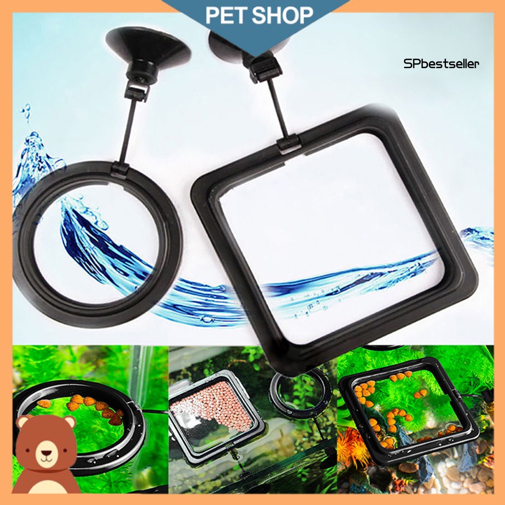 Dụng Cụ Đựng Thức Ăn Có Giác Hút Gắn Bể Cá Tiện Dụng