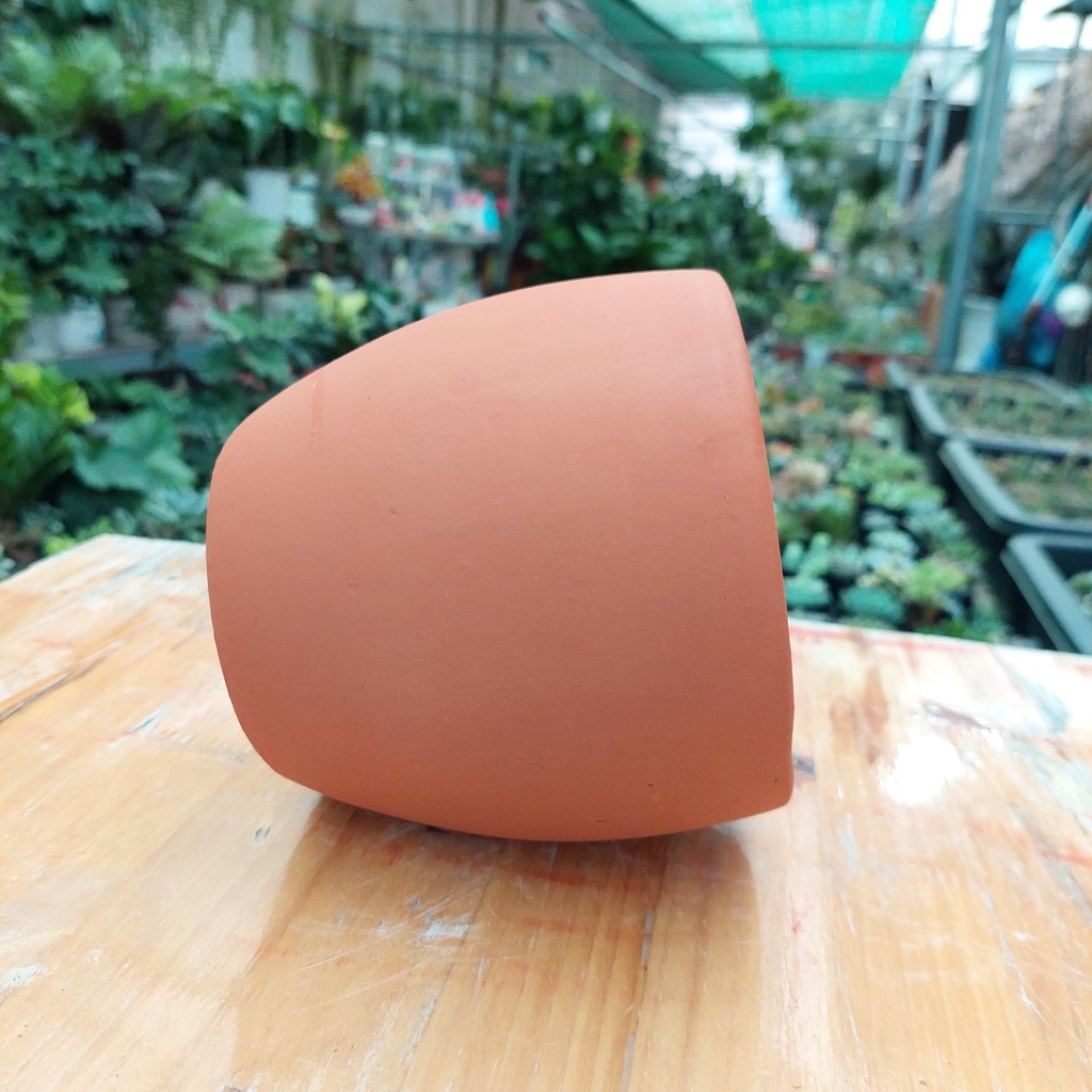 Chậu đất nung, Chậu sen đá - Bầu nhỏ, đường kính miệng 13cm, chiều cao 13cm
