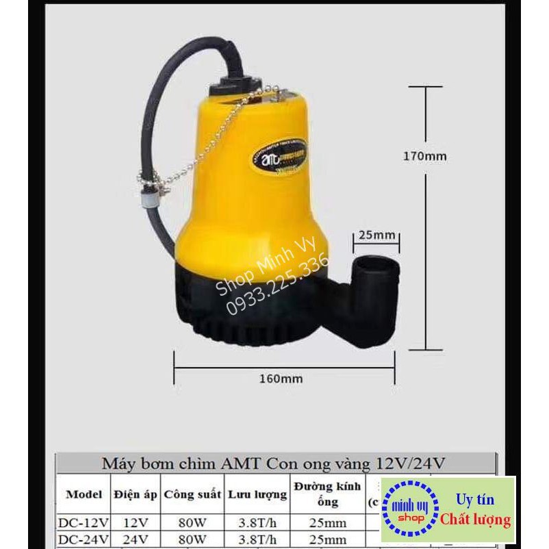 Bơm Chìm Vàng Lớn 12V