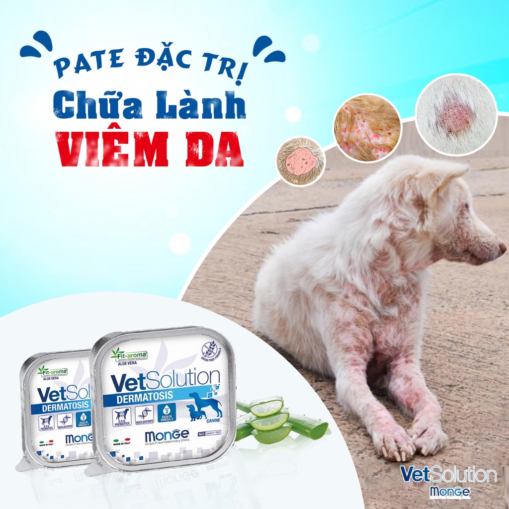 [150gr] Pate Monge Vet Solution hỗ trợ cho chó bệnh tiêu hóa, tiết niệu, phục hồi