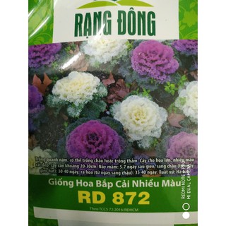 Hạt giống Hoa Bắp cải nhiều màu ❤️FREESHIP XTRA❤️