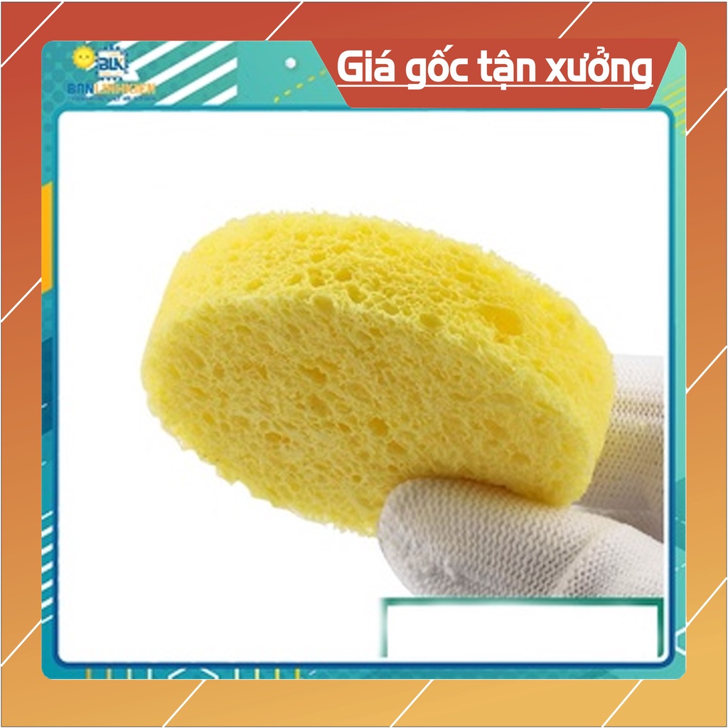 Bọt Biển Vệ Sinh Mũi Hàn Tròn - Vuông 5CM