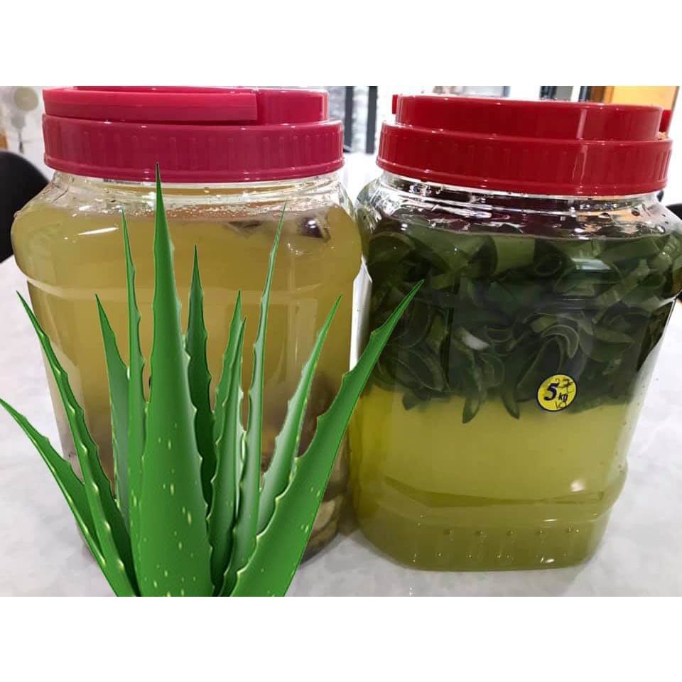 330ml GE nha đam - kích thích tăng trưởng cho lan, phục hồi lan còi cọc, giải độc quá liều phân thuốc cho lan