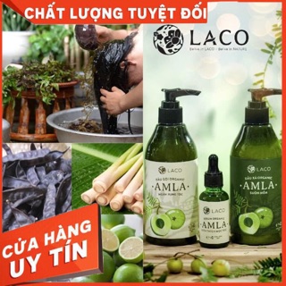 [MÓN QUÀ CHO MẸ BỈM] Dầu gội trị gầu, chống rụng tóc AMLA