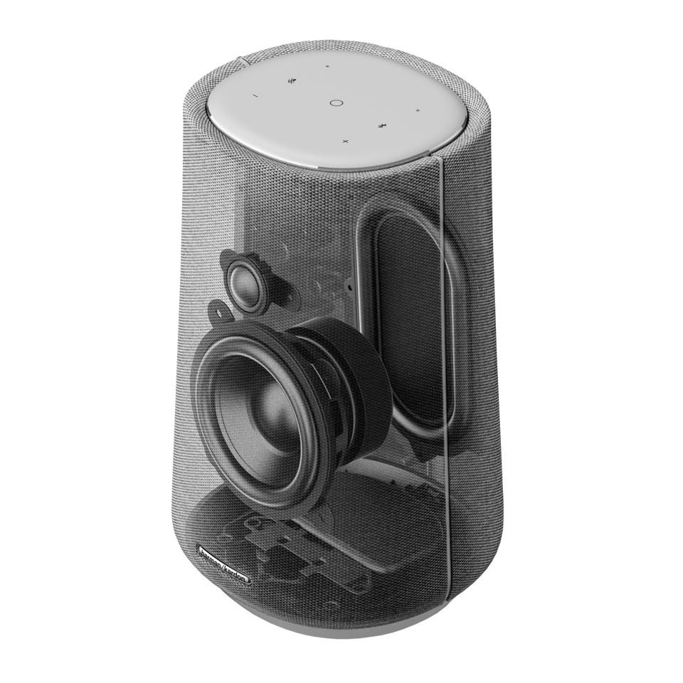 Củ loa Harman/ Kardon Citation 100
