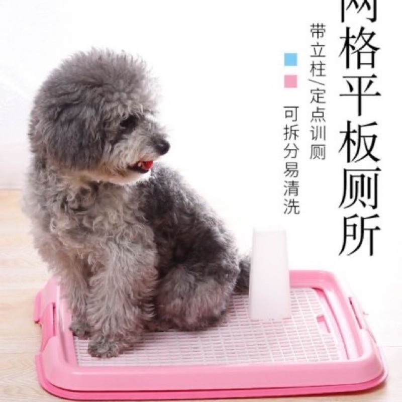 Khay Vệ Sinh Cho Chó Đực 52*37cm