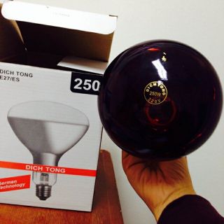 Bóng đèn hồng ngoại Dich Tong 250W