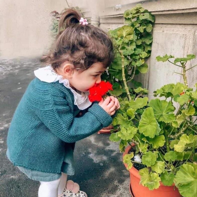 Áo Cardigan Knit Basic bé gái
