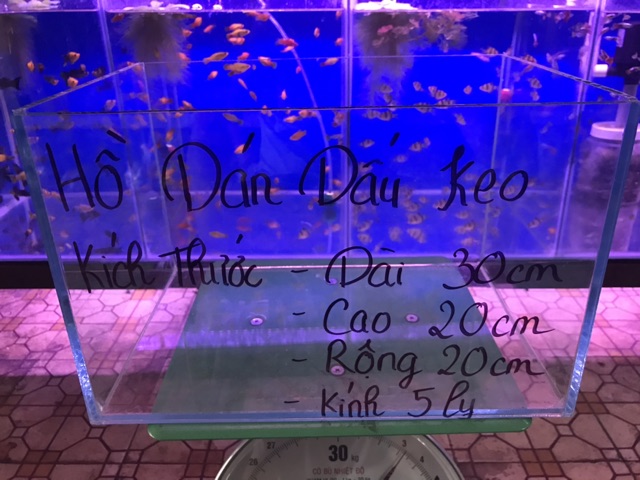 Bể cá 50cm.hồ cá cảnh. Hồ cá dấu keo kính 5 ly rẻ đẹp bền.hồ cá thuỷ sinh