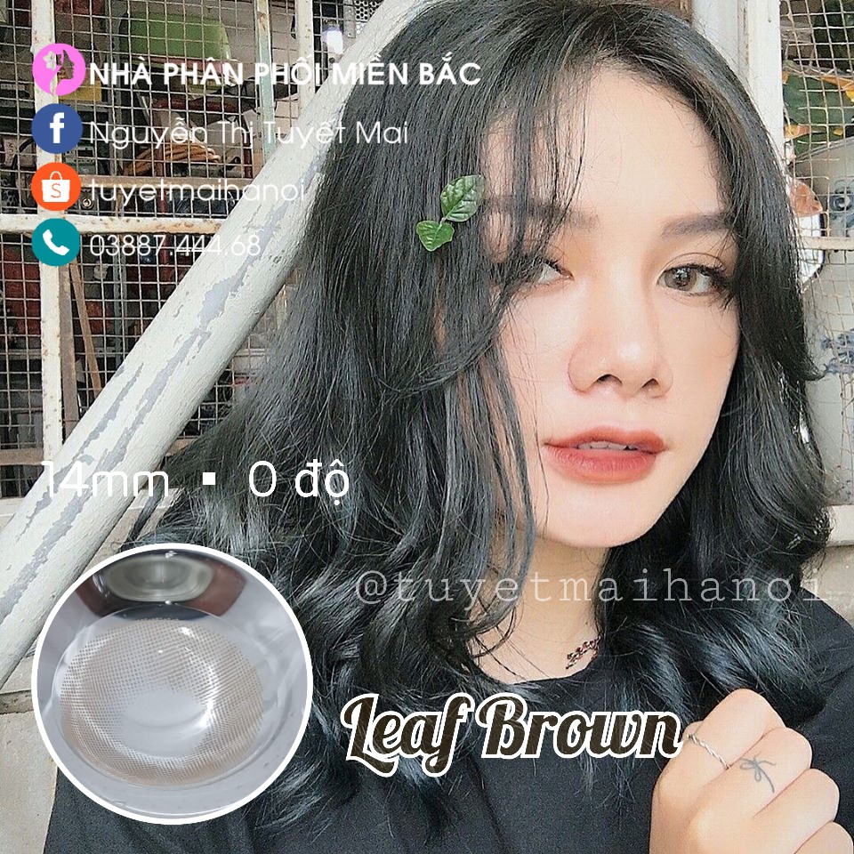 Leaf Brown 14mm 0 Độ - Lens Nâu Tây - Kính Áp Tròng Vassen Hàn Quốc