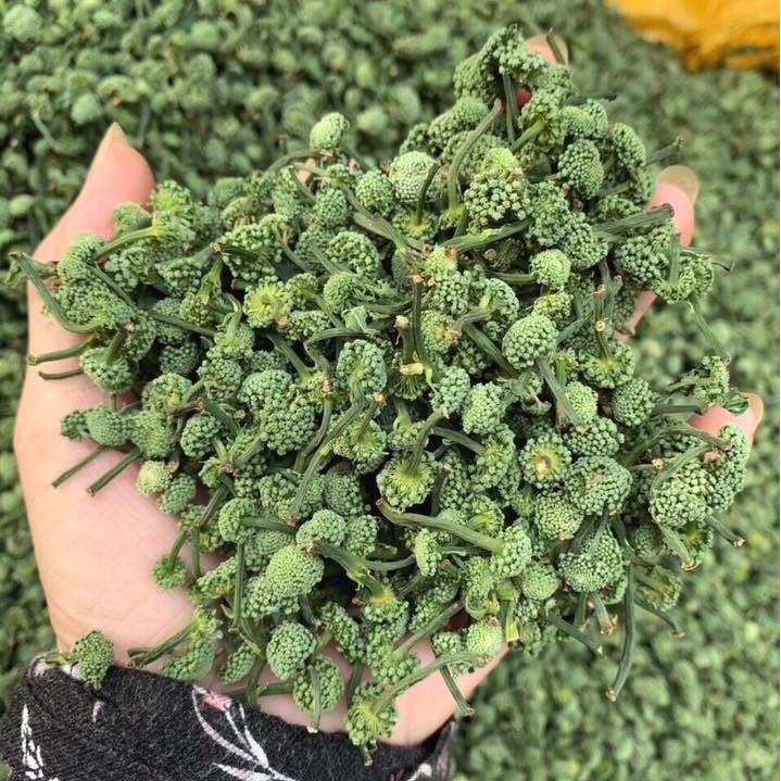 300gr NỤ TAM THẤT BAO TỬ KHÔ - hỗ trợ mất ngủ