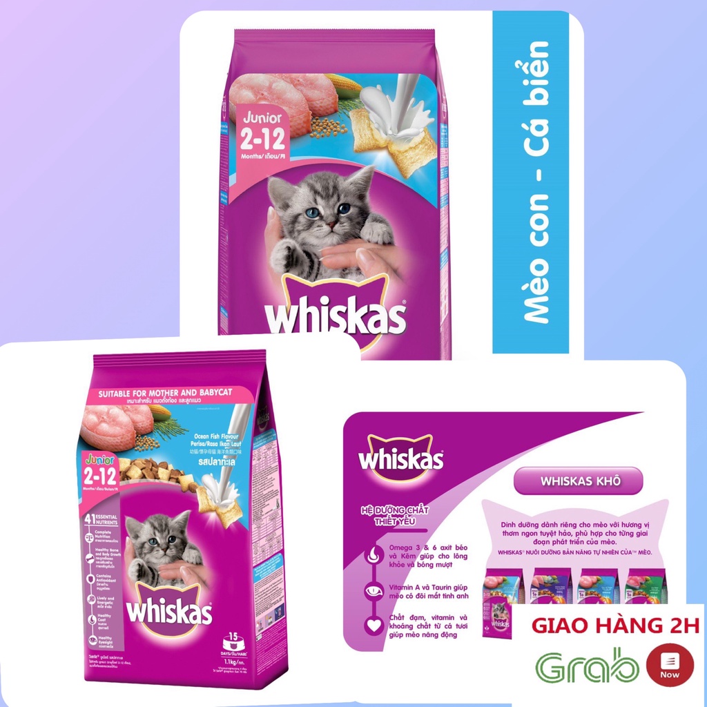Thức Ăn Cho Mèo, Hạt Cho Mèo Con Whiskas_1.1kg Vị Cá Biển