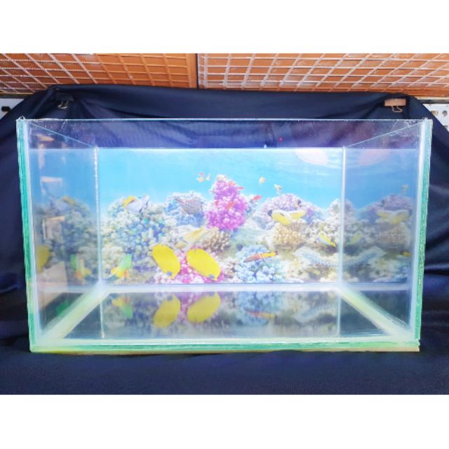 BỂ CÁ 34X20X20CM KÍNH DÀY 5 LY KHÔNG KIỀNG DÁN TRANH SẴN