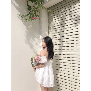 SET ÁO TAY BỒNG QUẦN SHORT