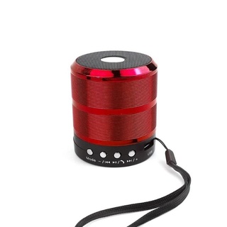 Loa bluetooth Speaker WS-887