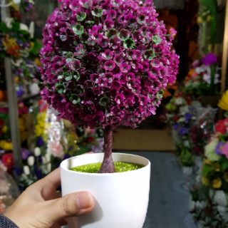 Cây hoa nhựa trang trí