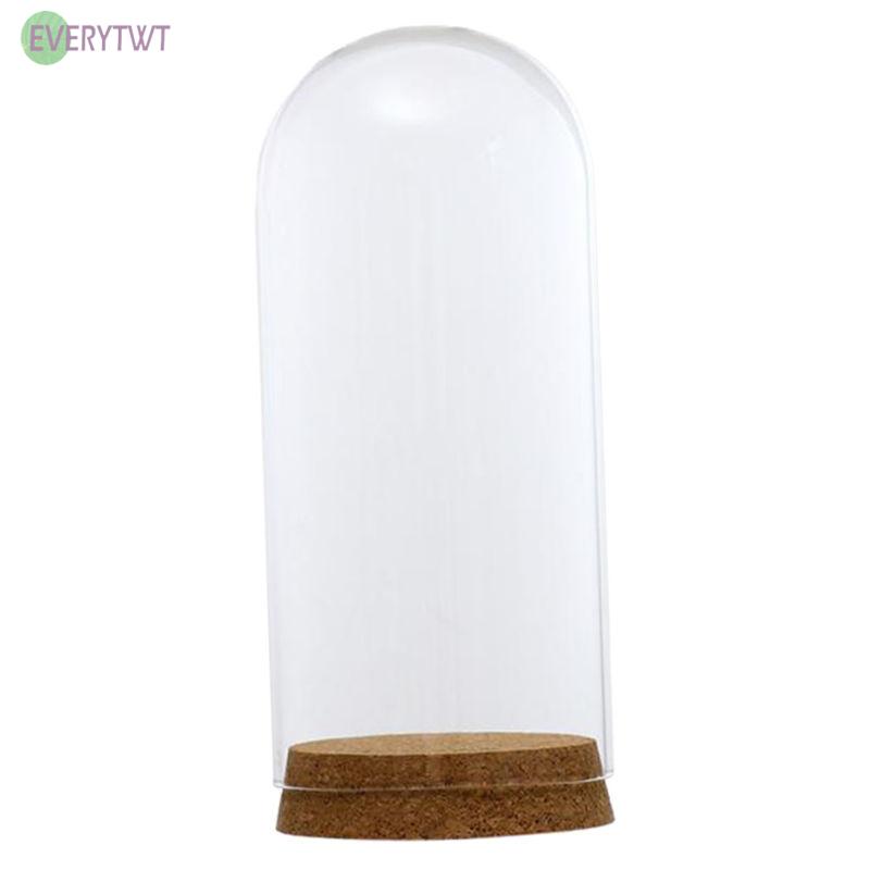 Nắp vòng bằng kính cho cây hoa trưng bày DIY chống bụi bẩn tiện dụng