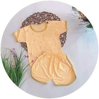 combo 50b thun lạnh cộc hình quả dứa