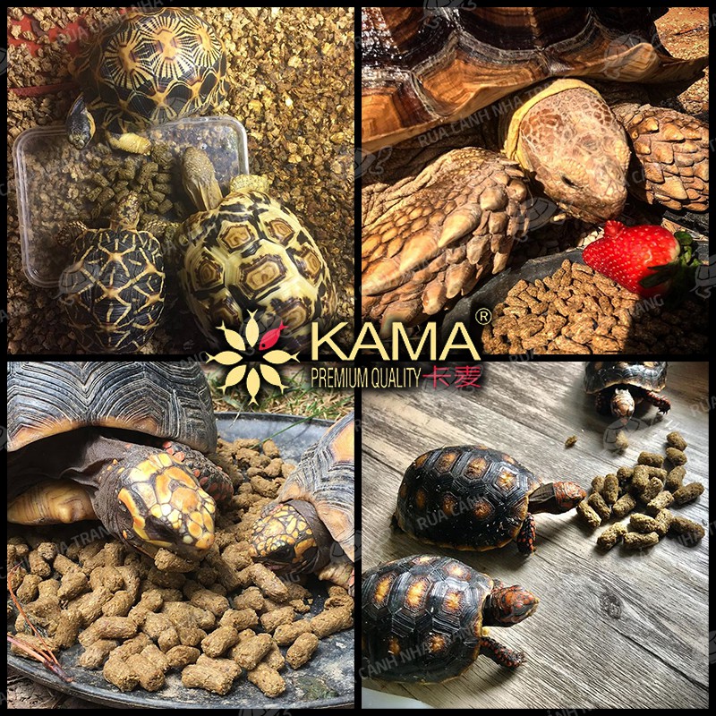 THỨC ĂN CHO CÁ, RÙA NƯỚC VÀ RÙA CẠN