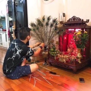 Lông công 80cm phong thủy LOẠI 1 mất lớn