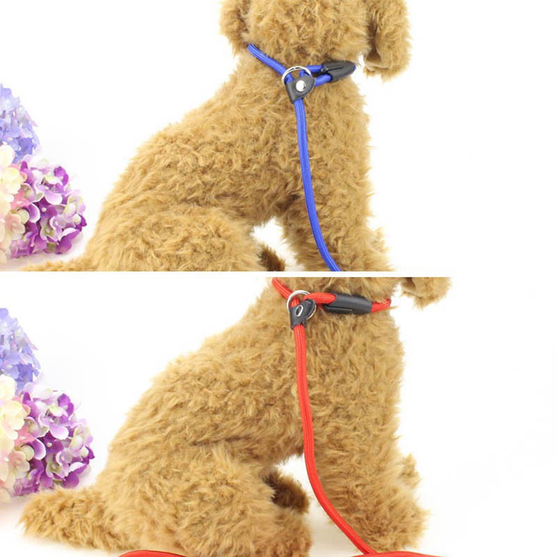 1 Dây đeo cổ cho chó bằng vải dù