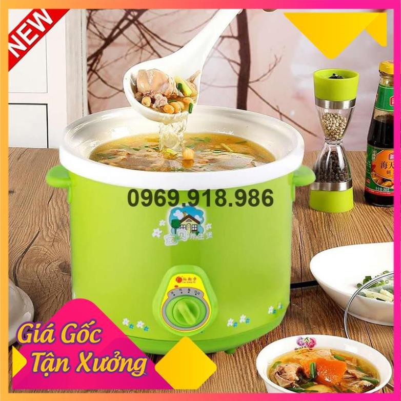 🎉 Nồi Hầm Nấu Cháo Chậm Cho Bé Bằng Điện 2.5L Đẹp Cao Cấp Giá Gốc Sỉ Rẻ ✨ Tổng Kho Gia Dụng An Giang ✨