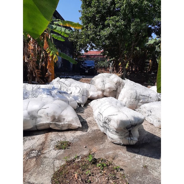 Tráng lồng vèo nuôi ươm tôm bột trứng, cá bột