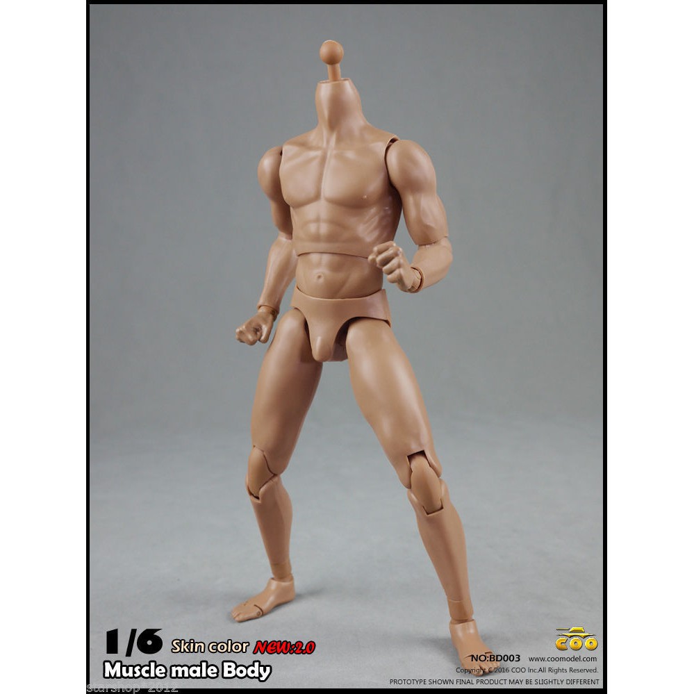 Mô hình cơ thể người nam 25cm Bd003 tỉ lệ 1/6 chất lượng
