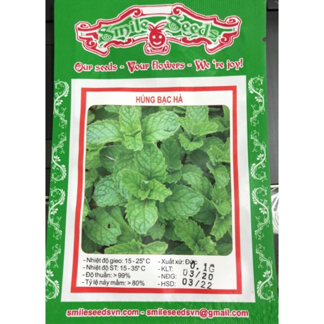 Hạt giống Húng bạc hà  ☘️