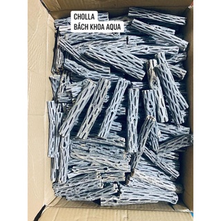 Lũa Cholla trang trí bể tép và thủy sinh đủ size