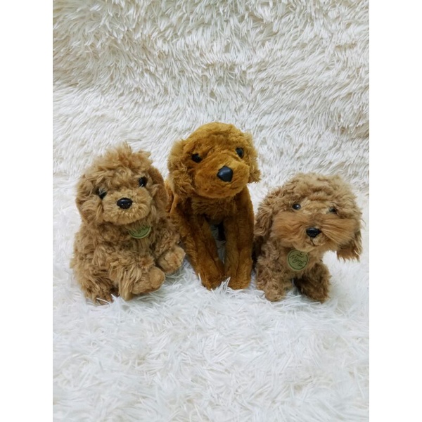Gấu bông con chó Poodle giống như thật 35cm