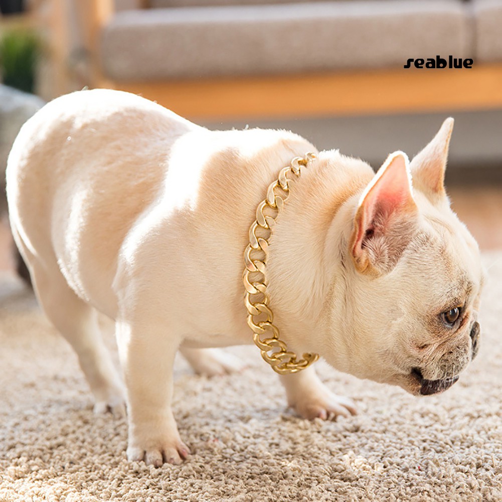Vòng cổ cho thú cưng 36cm / 45cm tiện dụng