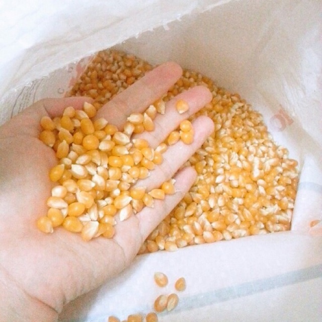 Ngô Mỹ nổ bỏng 500g