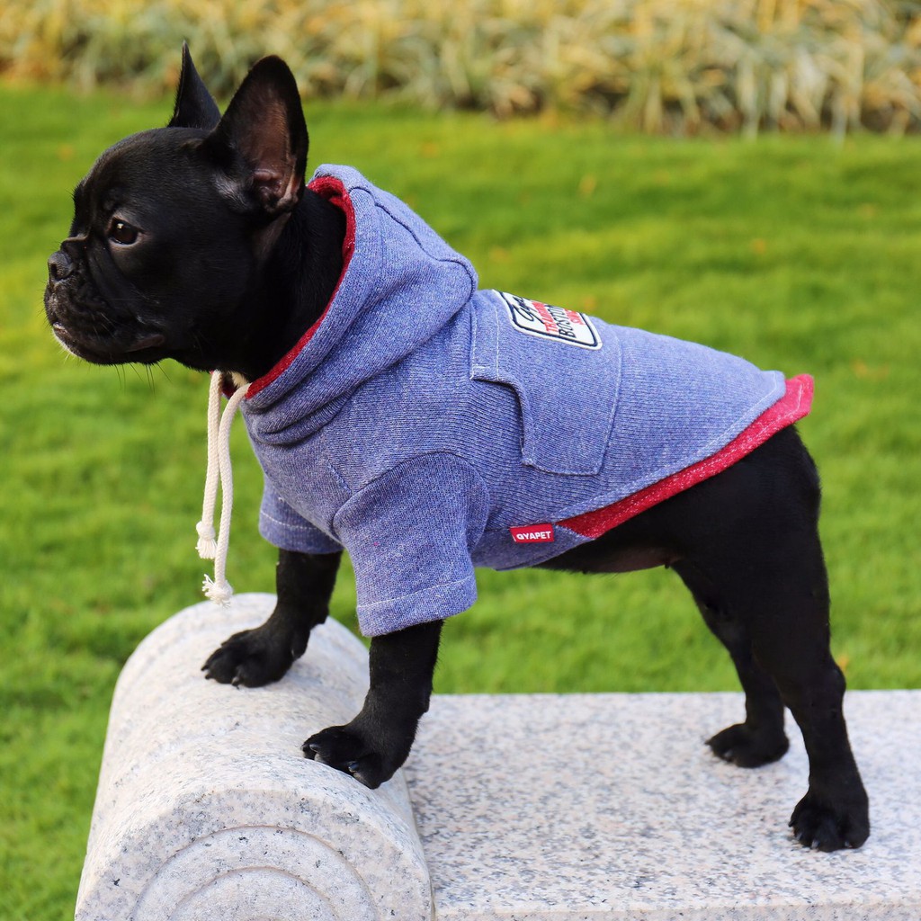 Gyapet Áo Hoodie có mũ cho chó mèo / Thú cưng