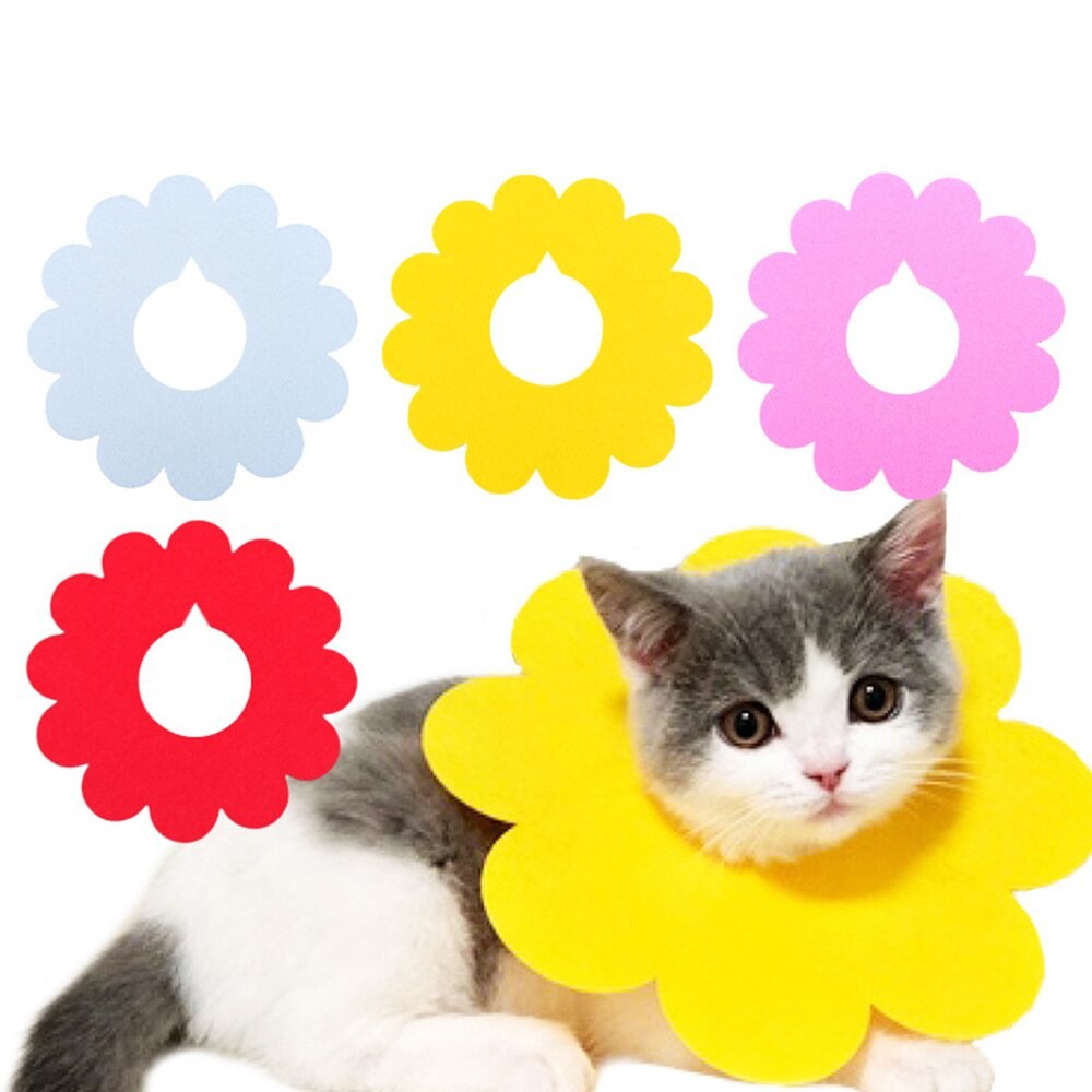 Vòng cổ chống liếm cho chó mèo hình bông hoa nhiều màu chất liệu đẹp