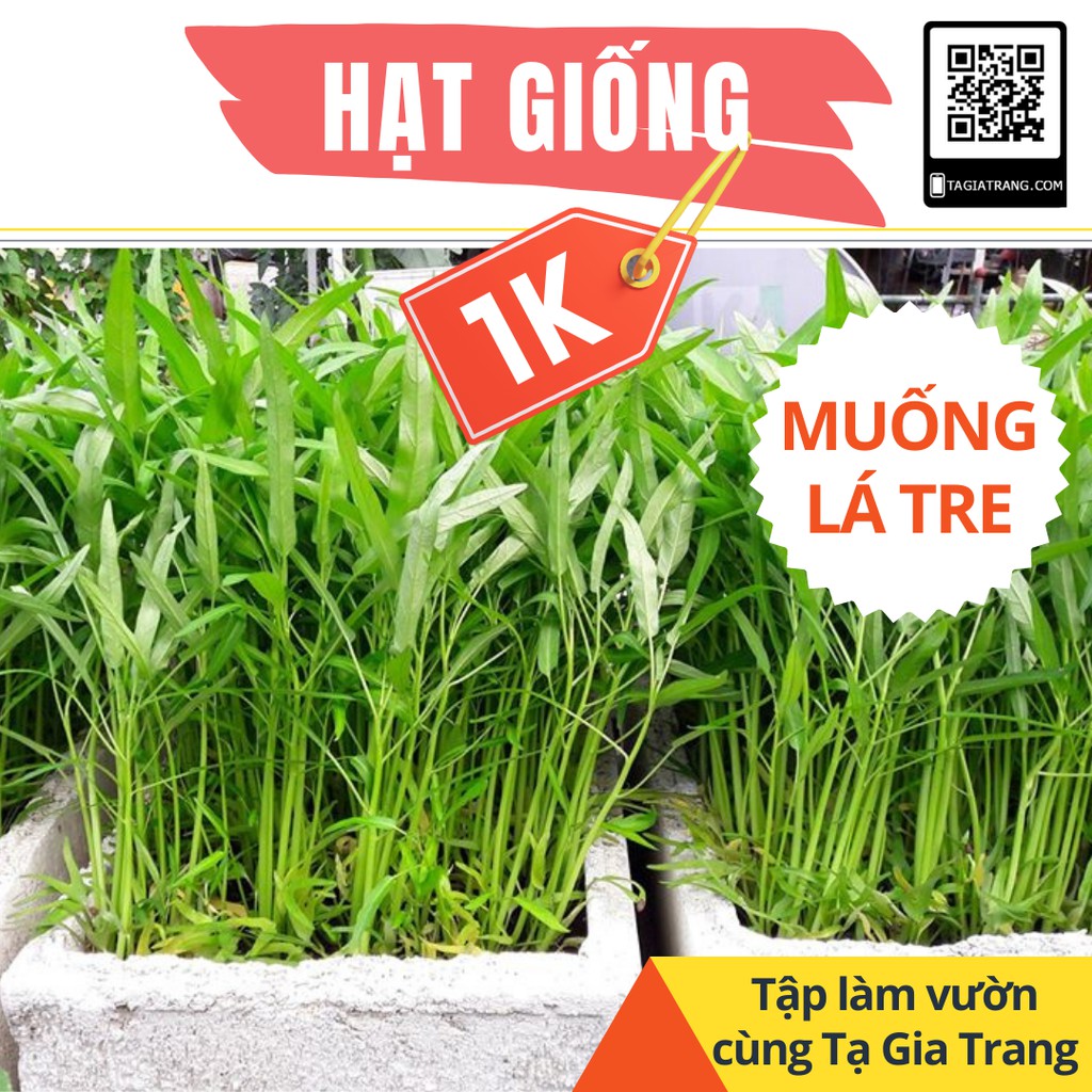 Deal 1K - Gói 80 hạt giống rau muống lá tre - Dự án Học làm vườn cùng Tạ Gia Trang