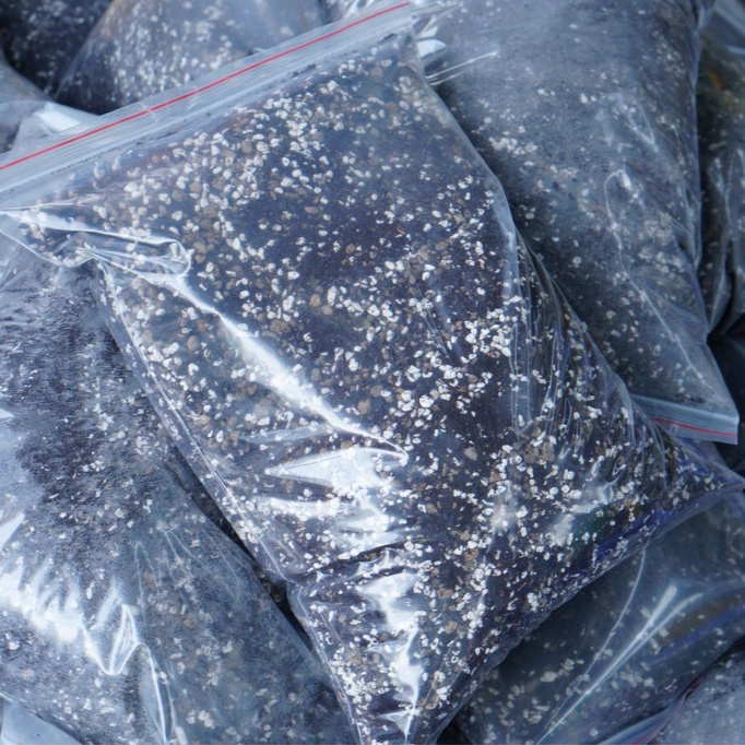 [3kg] Đất trồng sen đá, xương rồng GLASS GARDEN, chuẩn xứ nóng, Thoát nước tốt, Đầy đủ dinh dưỡng