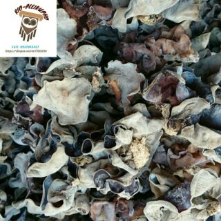 (Tg60k)500gr MỘC NHĨ ( nấm Mèo) Tây Nguyên