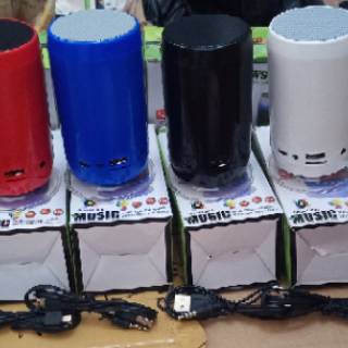 Loa bluetooth mini WS1806B