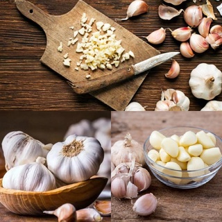 BỘT TỎI ÔNG CHÀ VÀ 20GR