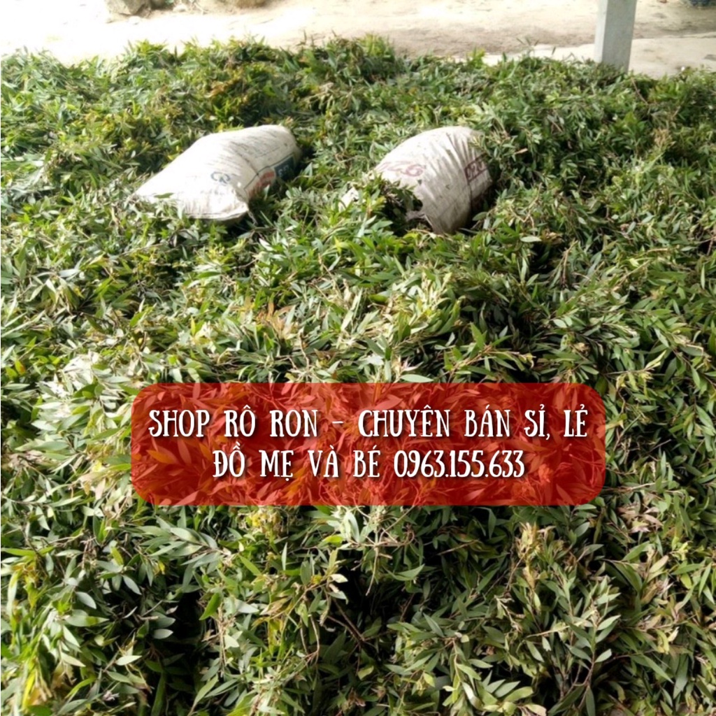 Tinh dầu Tràm Huế nguyên chất - Dầu Tràm Huế Thanh Tùng 110ml - Shop Rô Ron