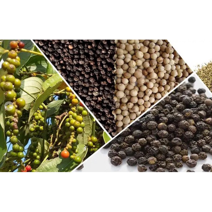 Tiêu đen cay 100g đặc sản Tây Nguyên | BigBuy360 - bigbuy360.vn