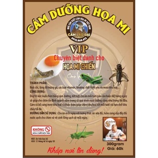 Cám dưỡng hoạ mi vip - lão đại