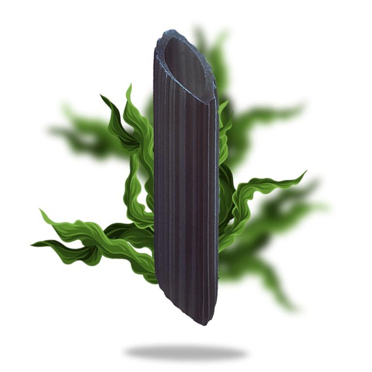 Nui ống Penne vị tảo Spirulina hữu cơ Sottolestelle 340g